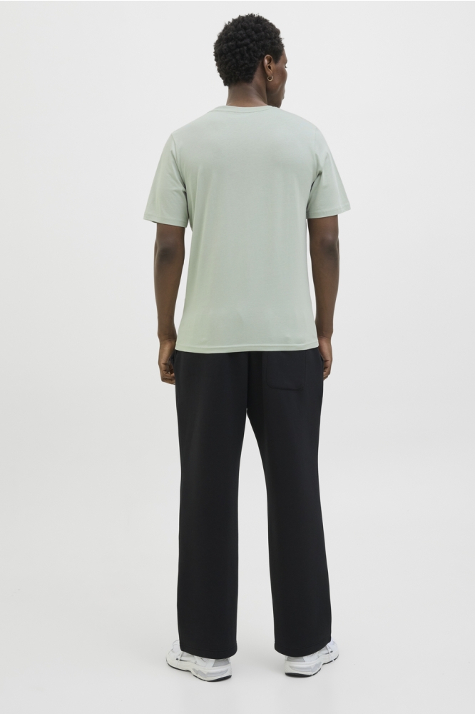 JCOLOGAN SUMMER PRINT TEE CREW NECK 12283825 AQUA GREY